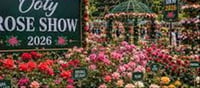 Tourists Flock to Ooty Rose Show for the Second Consecutive Day